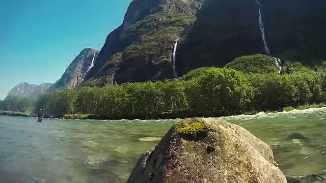 Laxen I Vindelälven – Fiskefilm